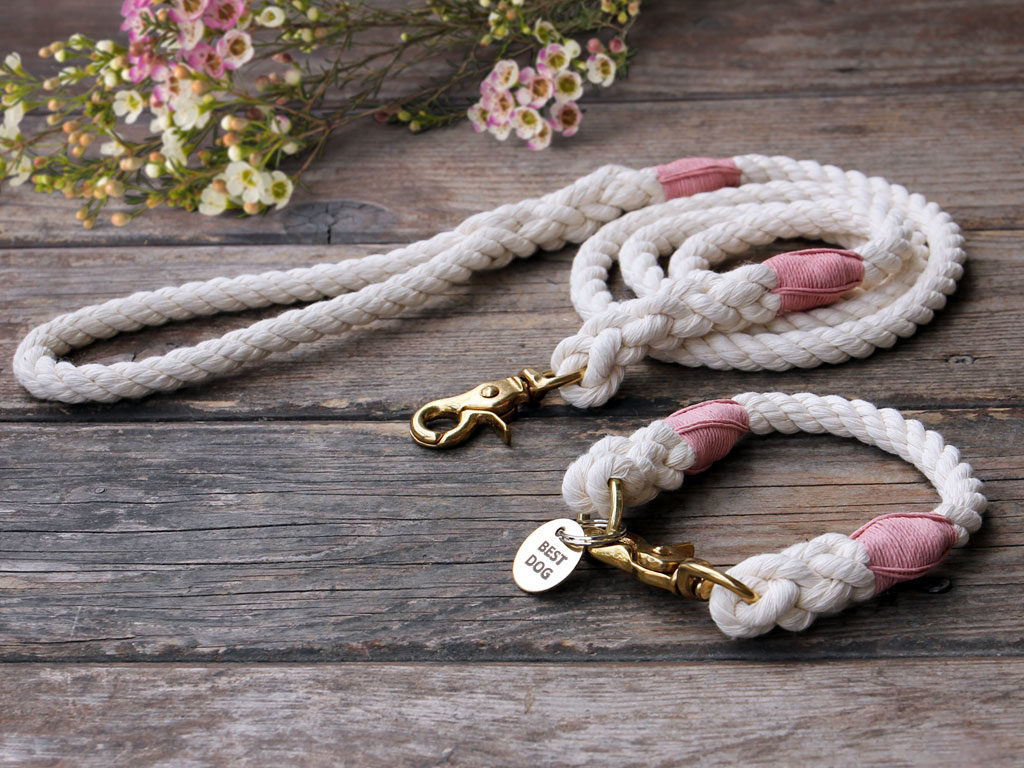 Best Dog Cotton Rope Leash and Rope Dog Collar